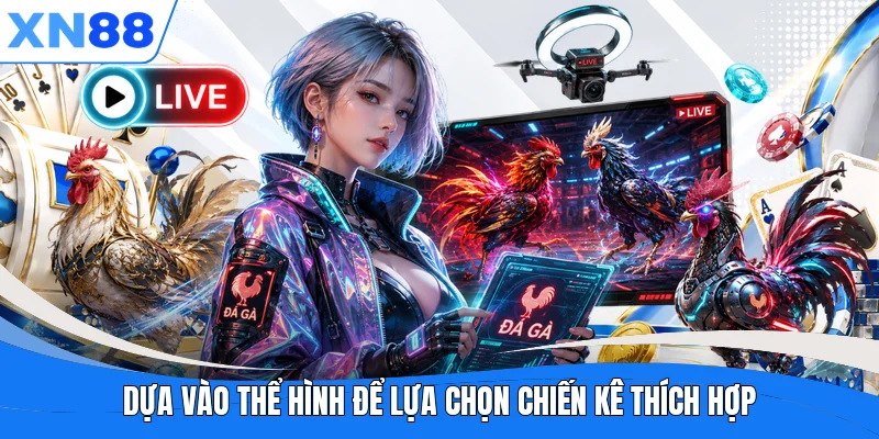 Dựa vào thể hình để lựa chọn chiến kê thích hợp Dựa vào thể hình để lựa chọn chiến kê thích hợp