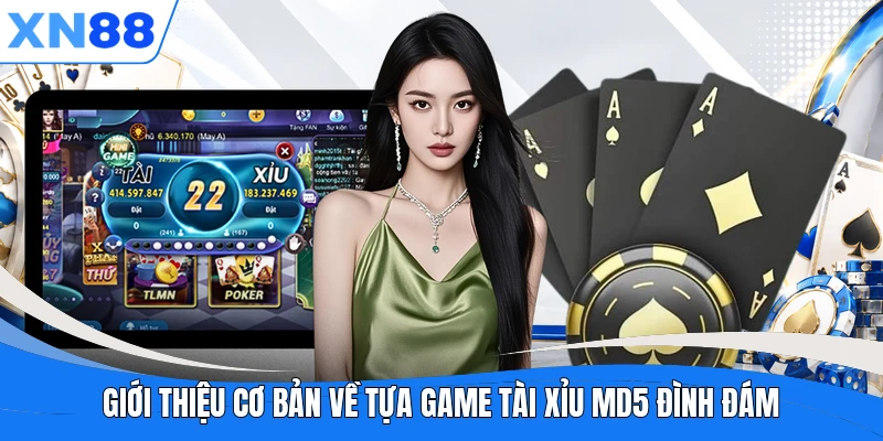 Giới thiệu cơ bản về tựa game Tài Xỉu MD5 đình đám Giới thiệu cơ bản về tựa game Tài Xỉu MD5 đình đám