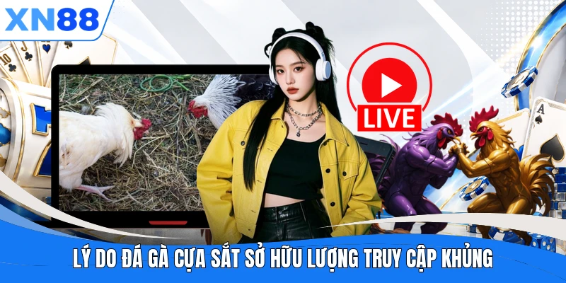 Lý do đá gà cựa sắt sở hữu lượng truy cập khủng Lý do đá gà cựa sắt sở hữu lượng truy cập khủng
