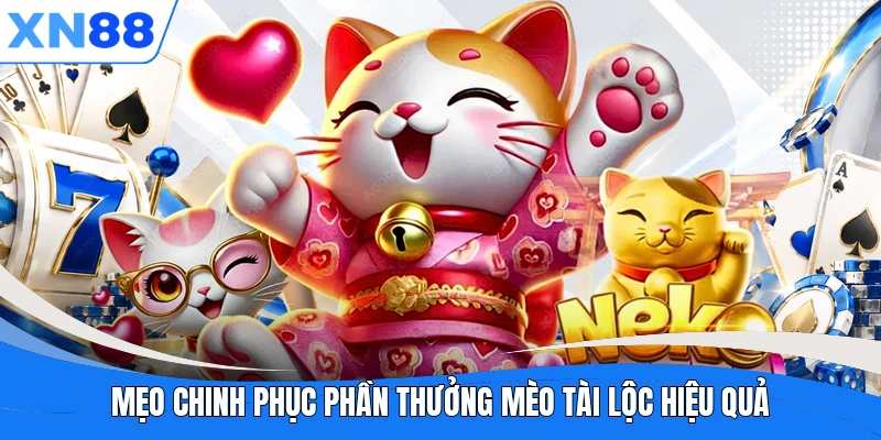 Mẹo chinh phục phần thưởng Mèo Tài Lộc hiệu quả