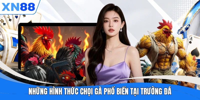 Những hình thức chọi gà phổ biến tại trường đá Những hình thức chọi gà phổ biến tại trường đá